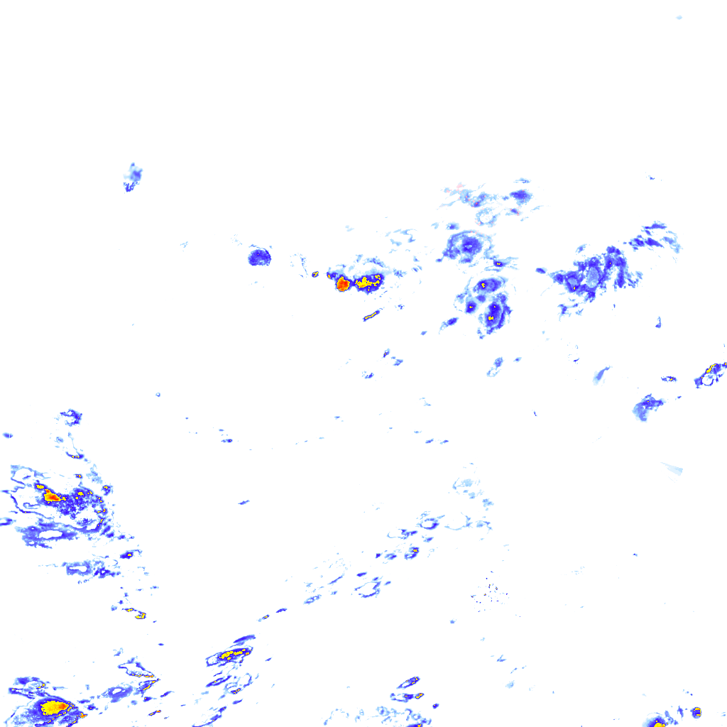 rainLayer