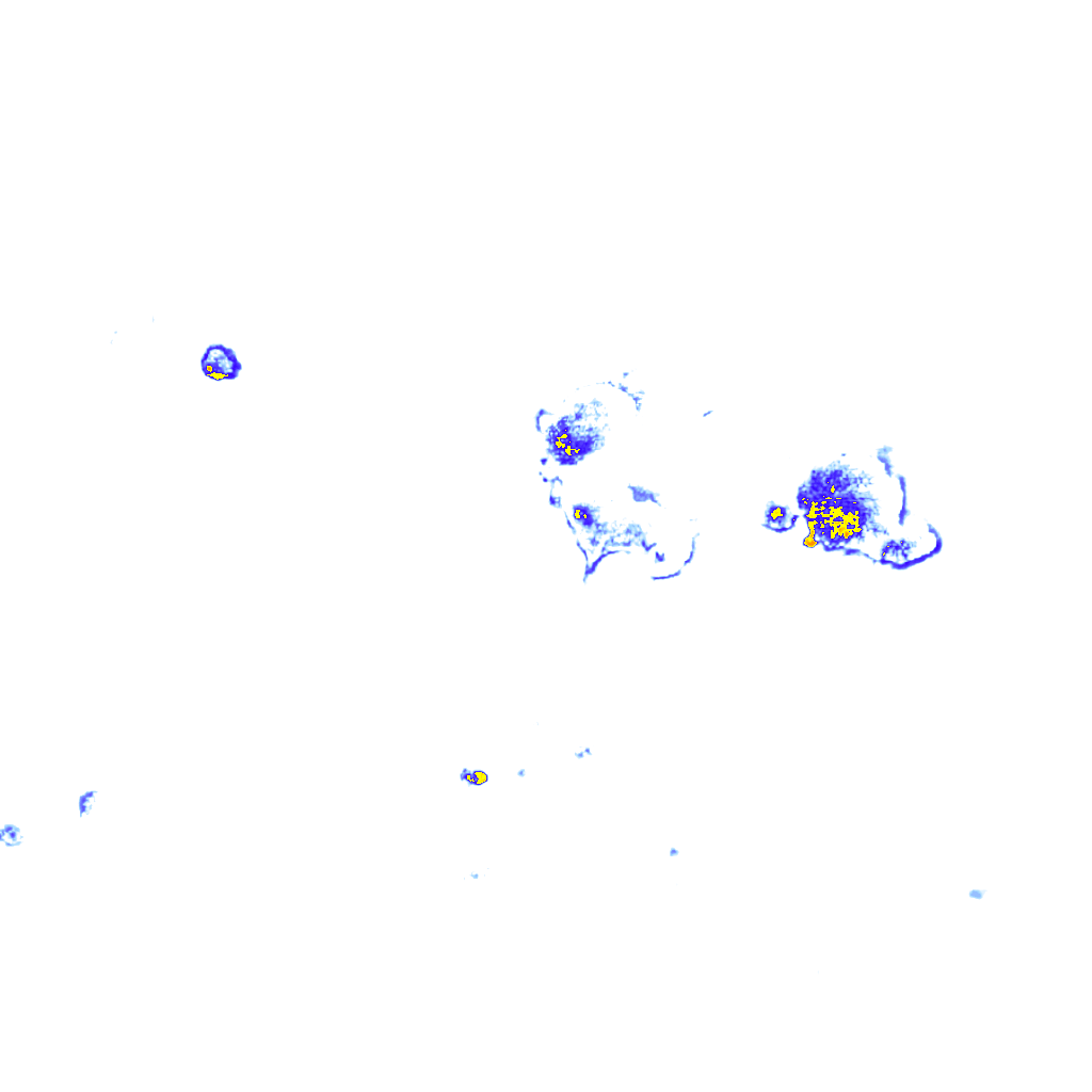 rainLayer