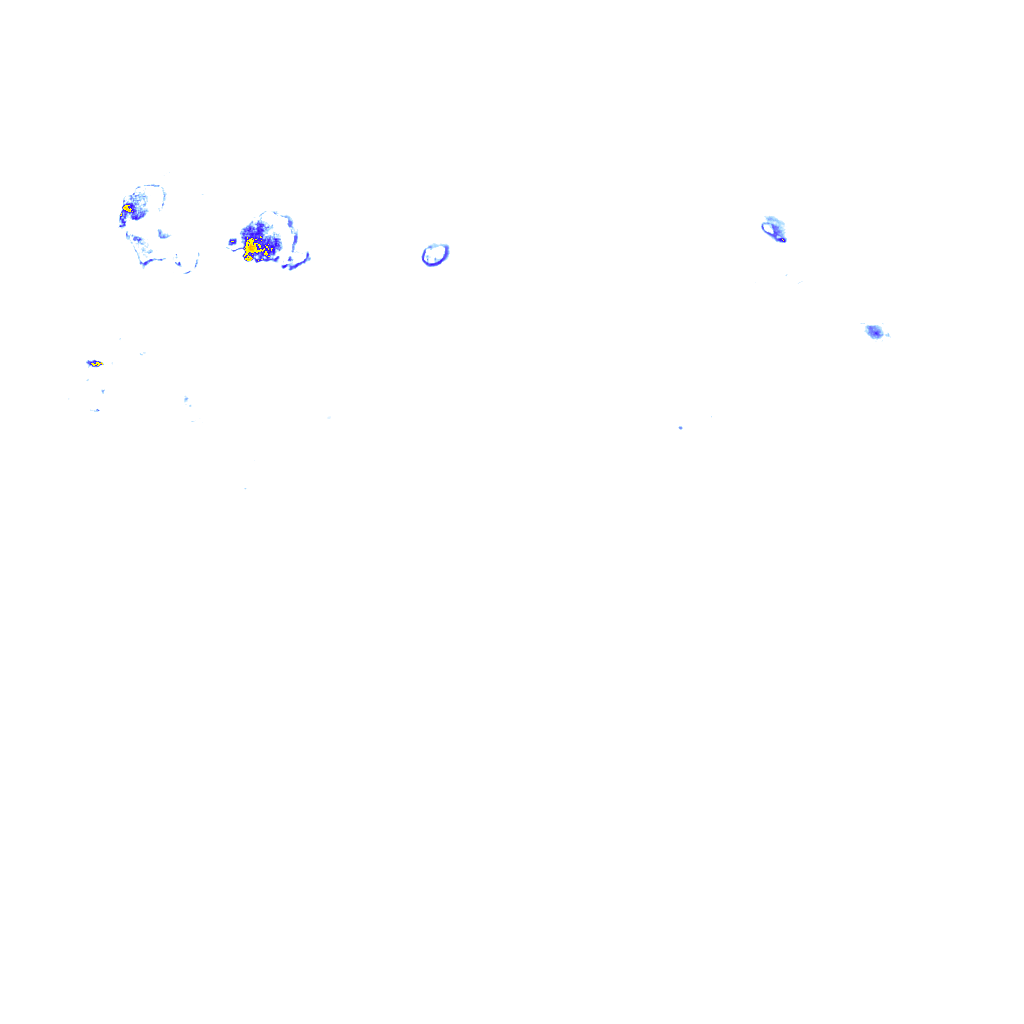 rainLayer