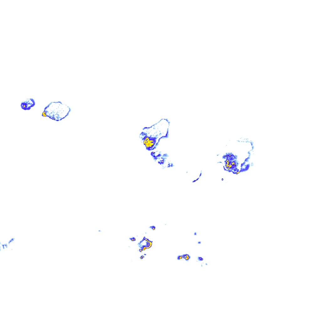 rainLayer