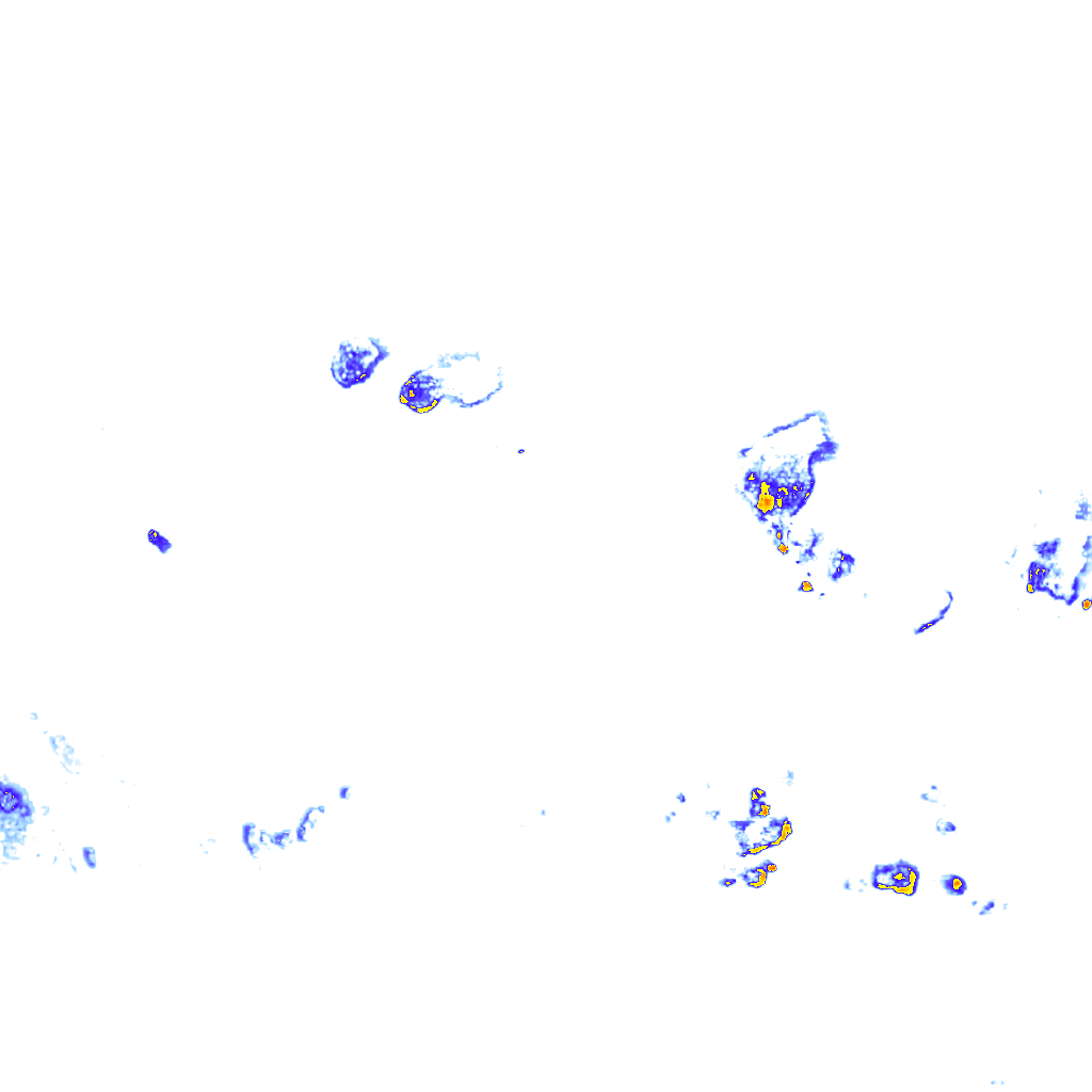 rainLayer