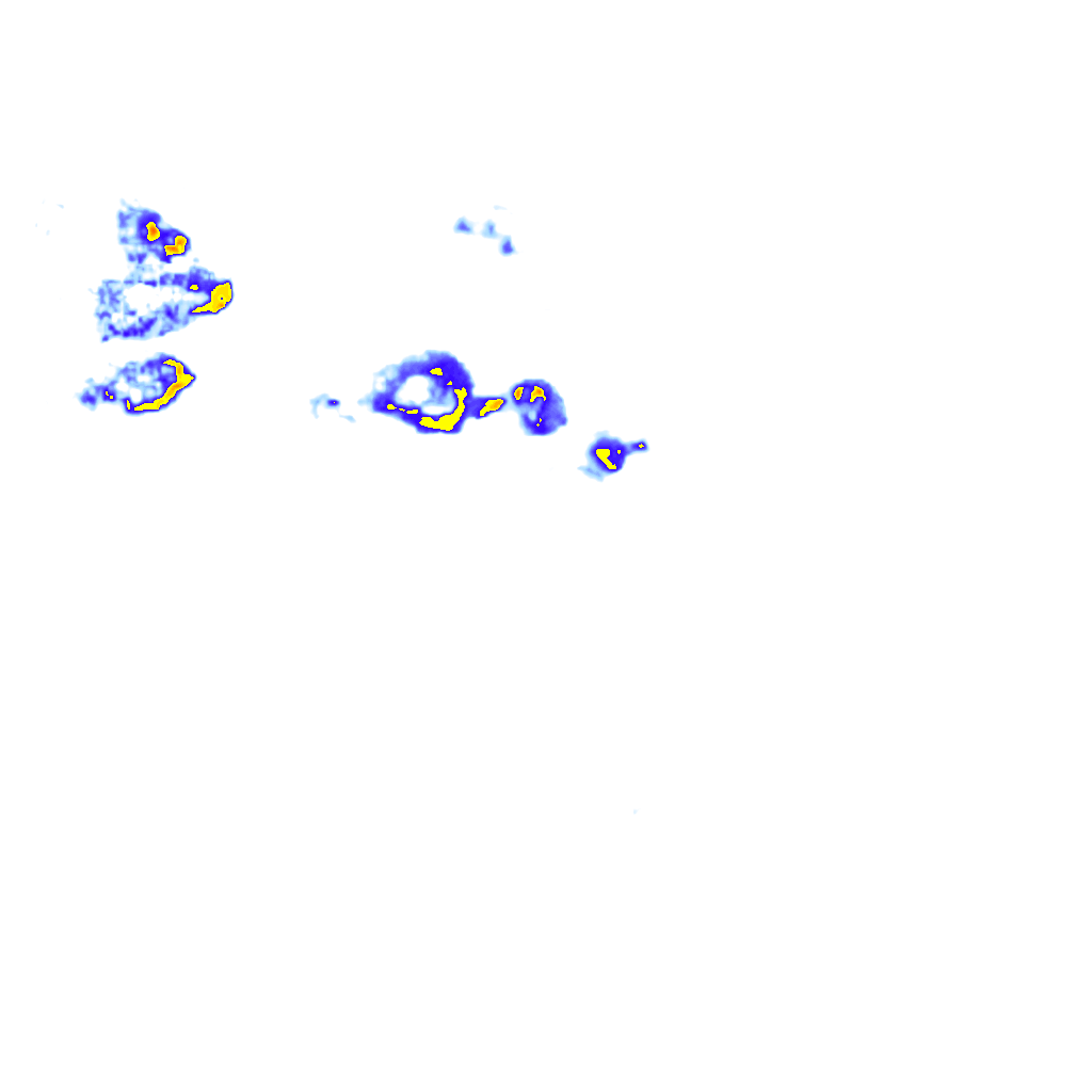 rainLayer