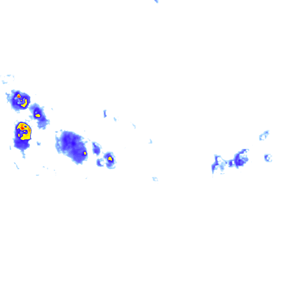 rainLayer