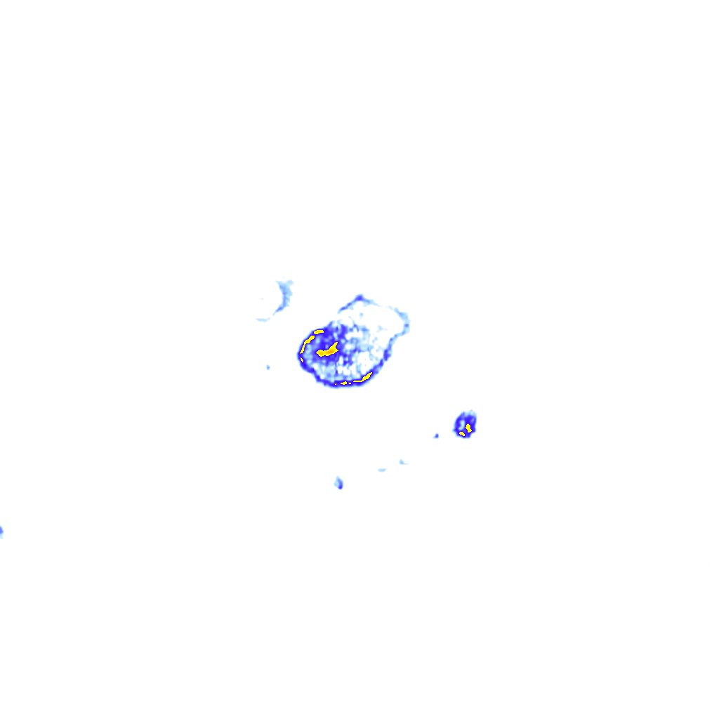 rainLayer
