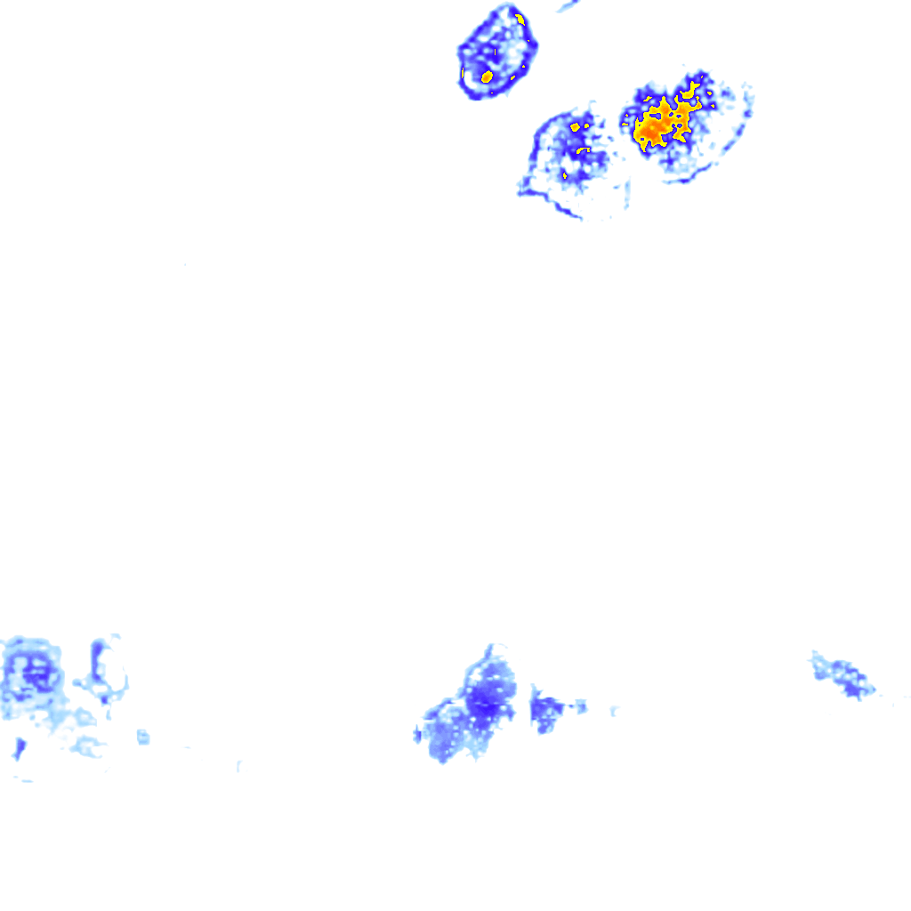 Image Layer