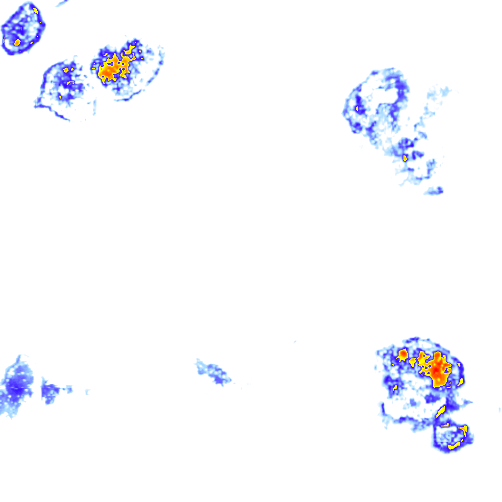 Image Layer