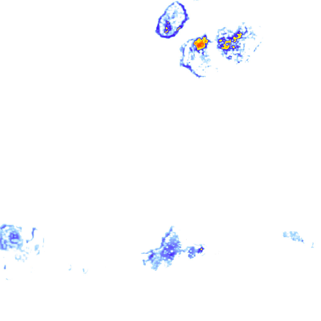 Image Layer