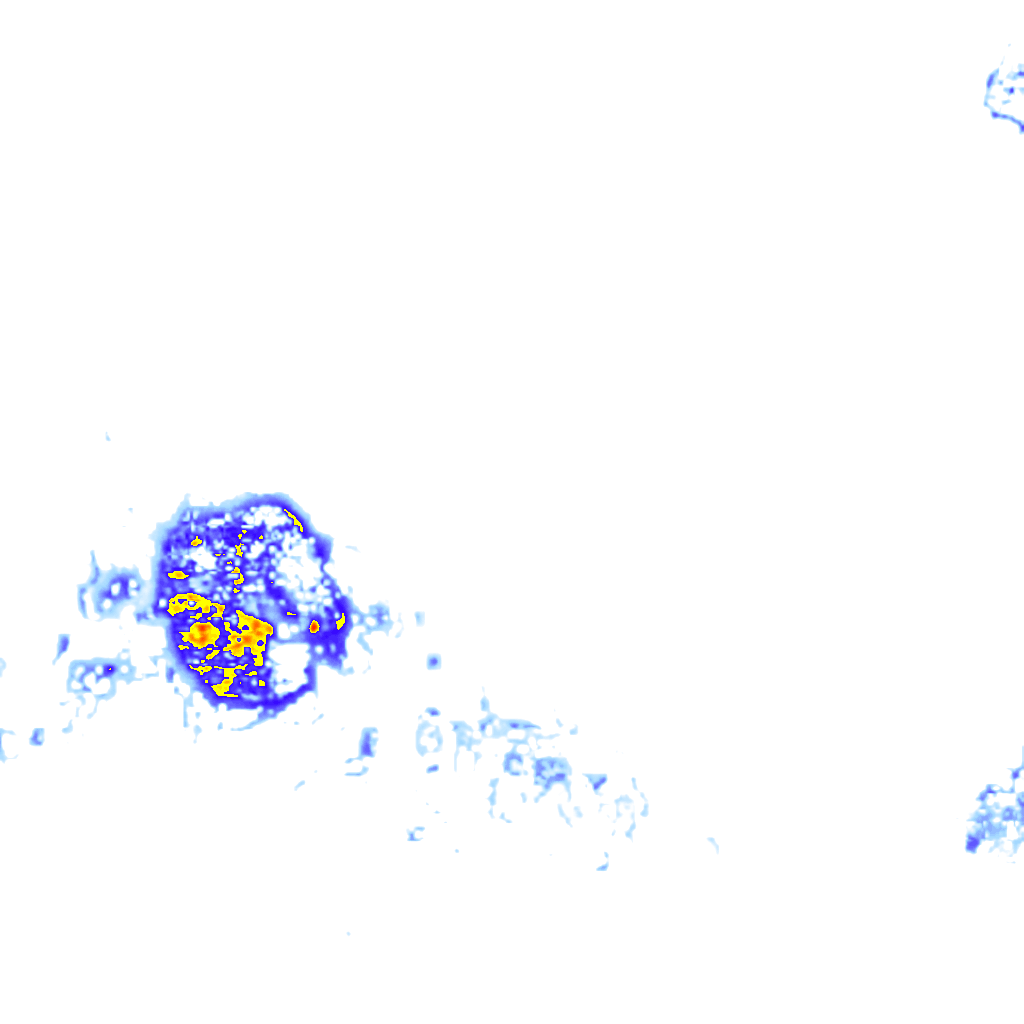 Image Layer