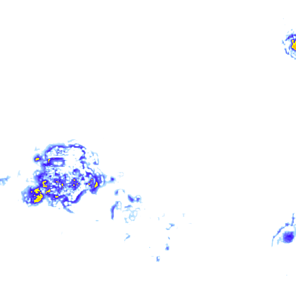 rainLayer