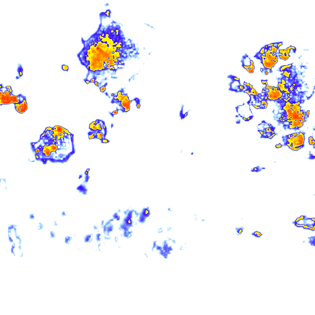 Image Layer