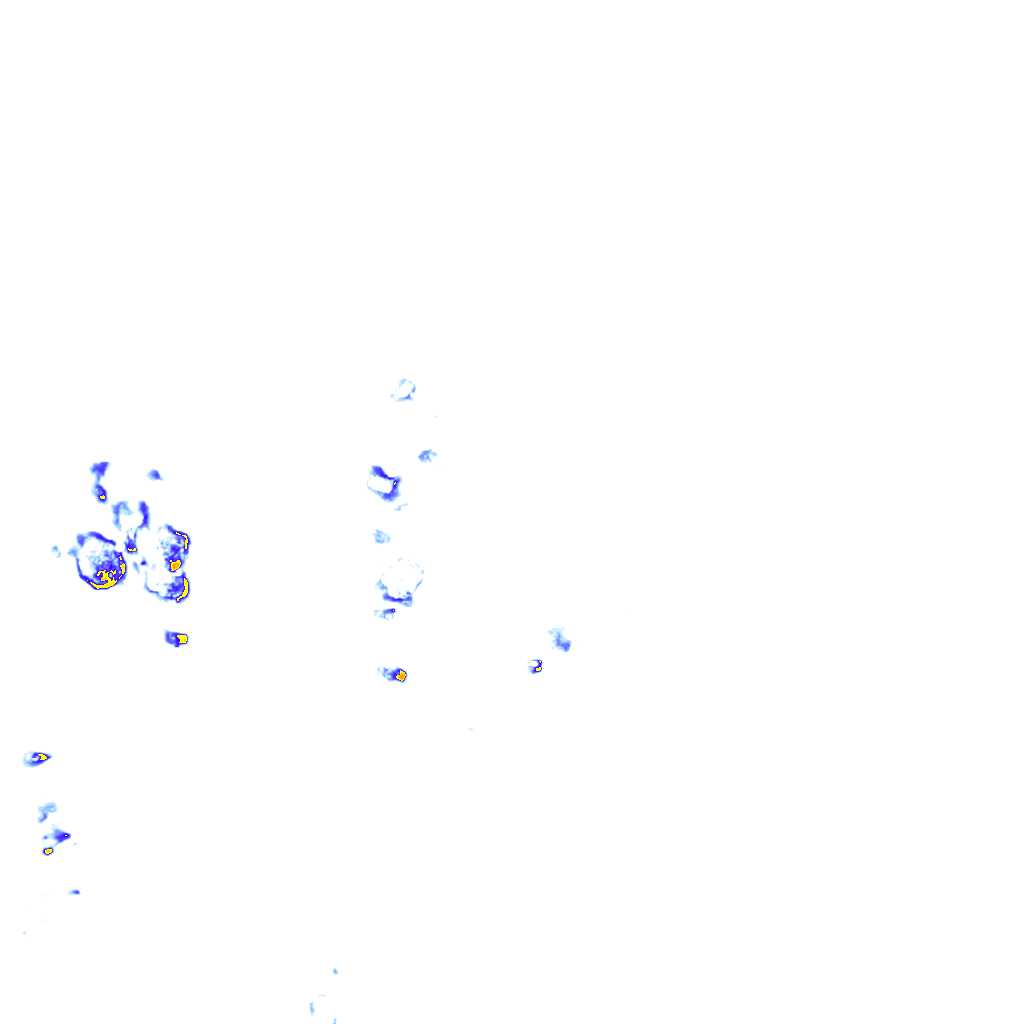 rainLayer