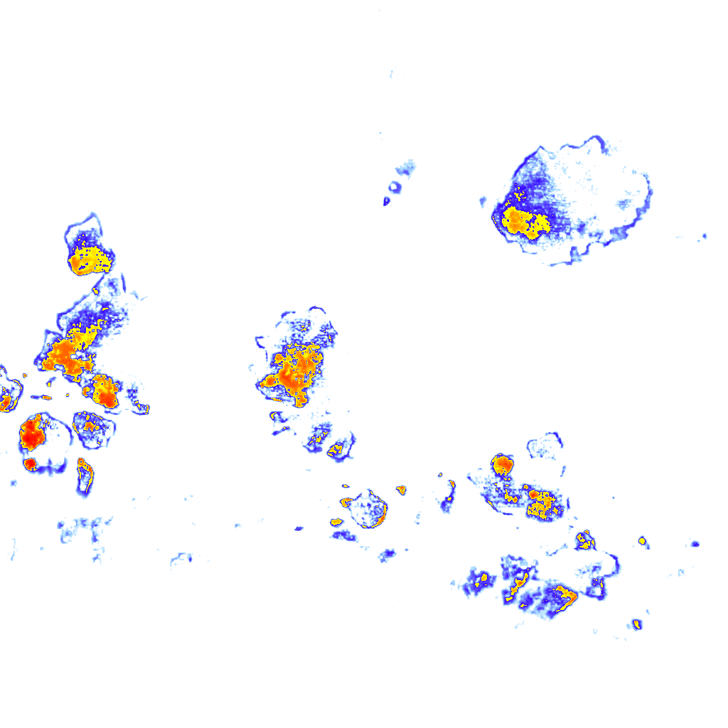Image Layer
