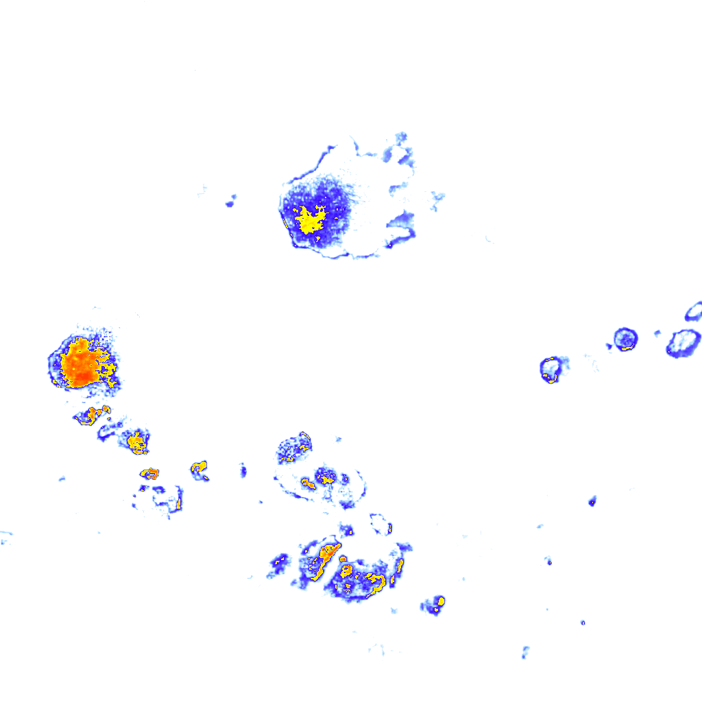 Image Layer