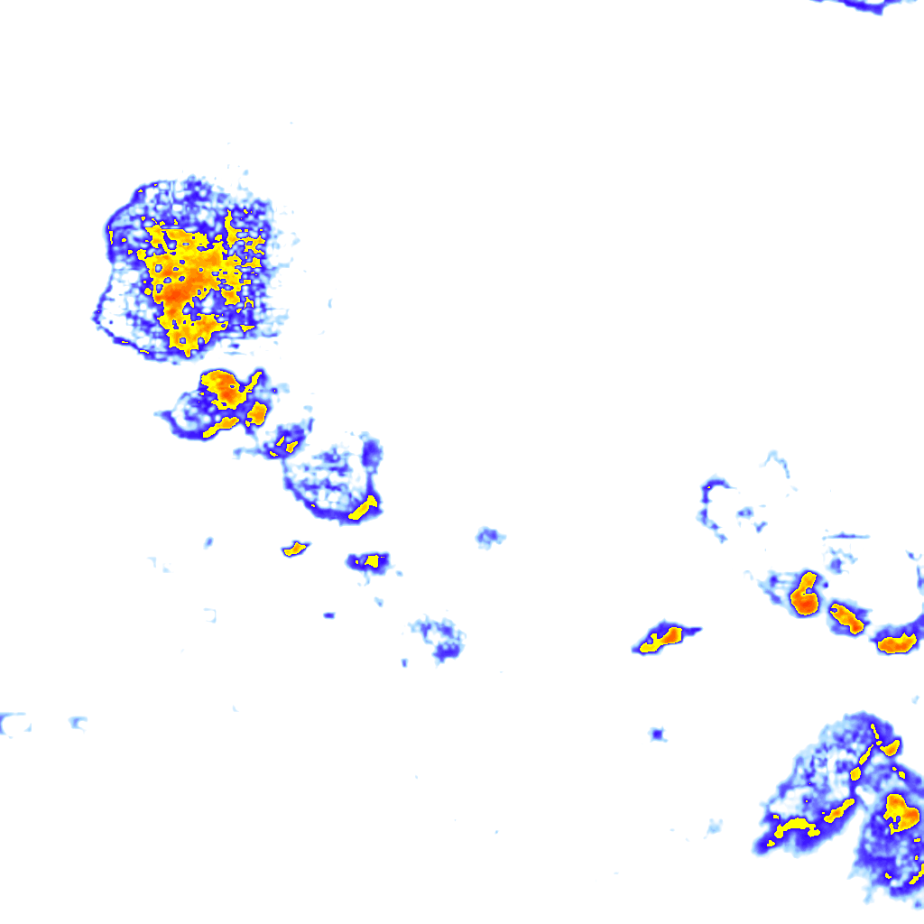 rainLayer