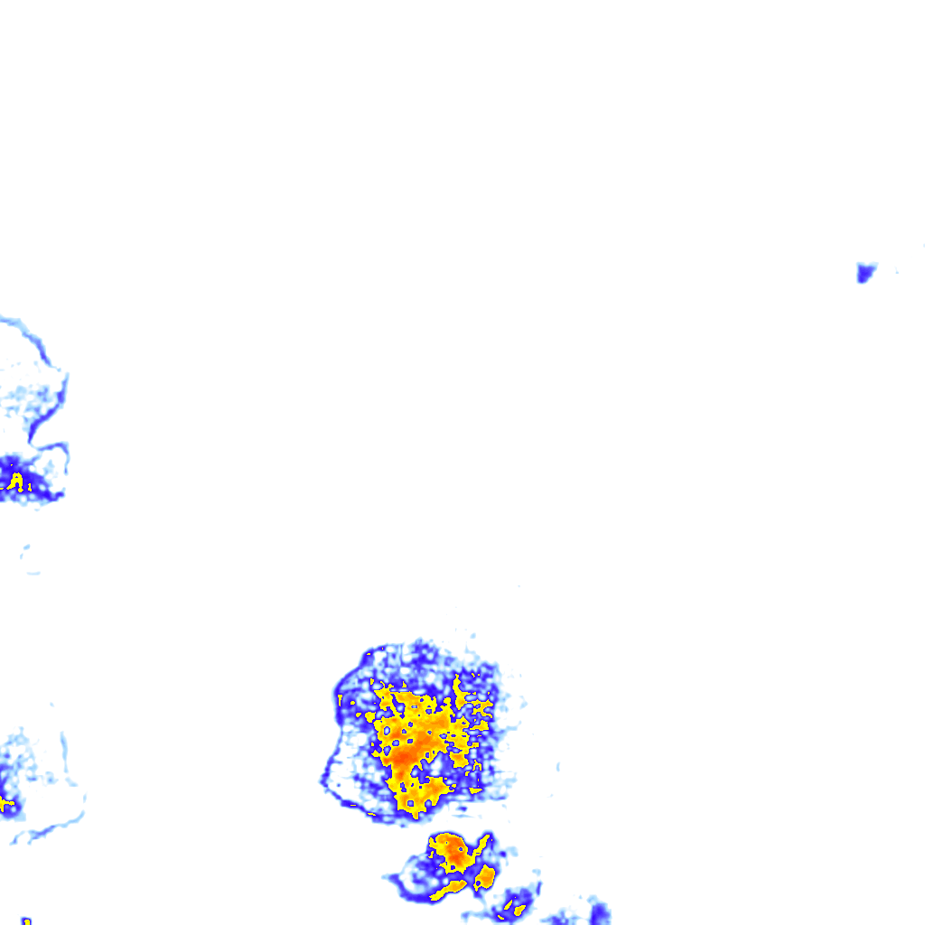 rainLayer