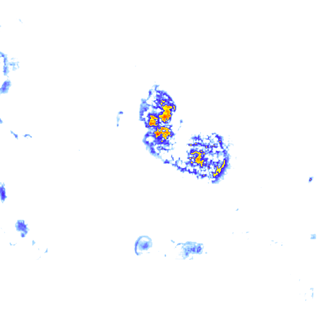 Image Layer