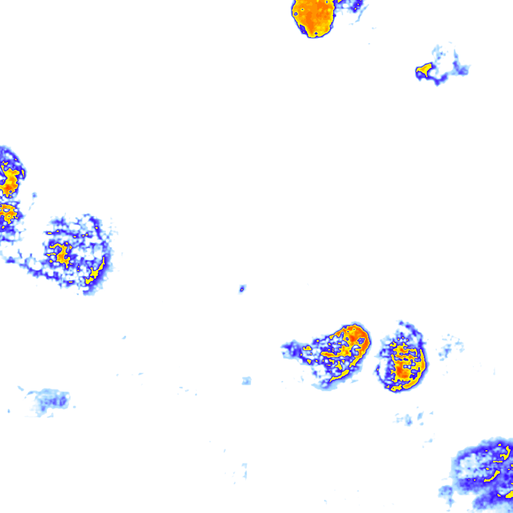 rainLayer