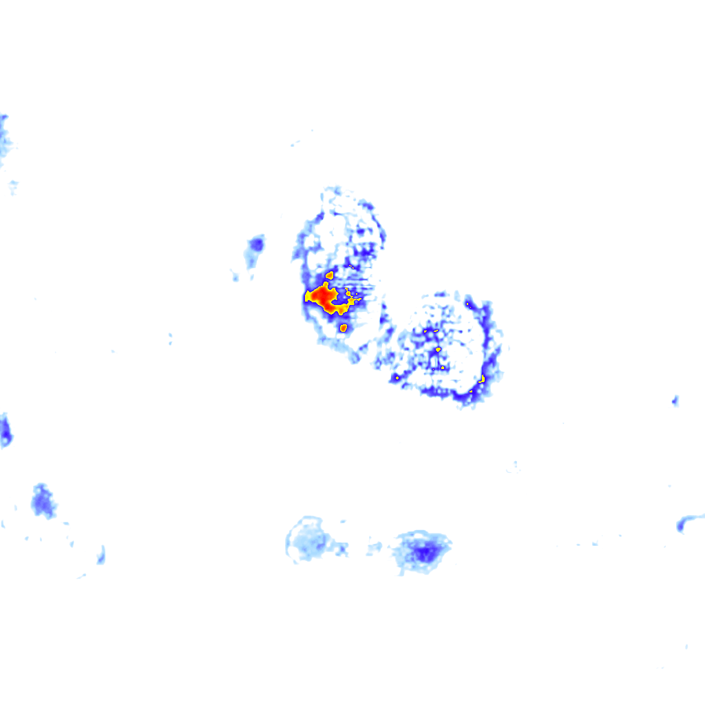 Image Layer