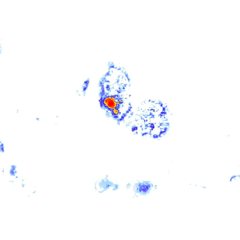 Image Layer