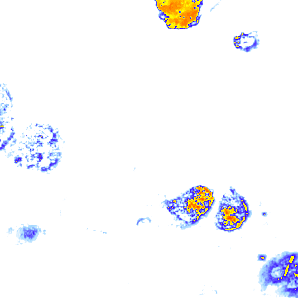 rainLayer