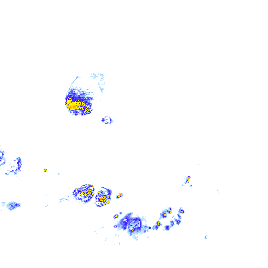 rainLayer