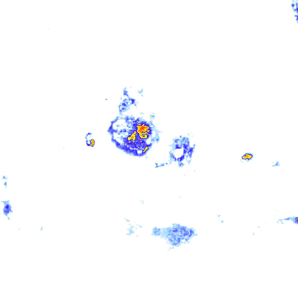 rainLayer