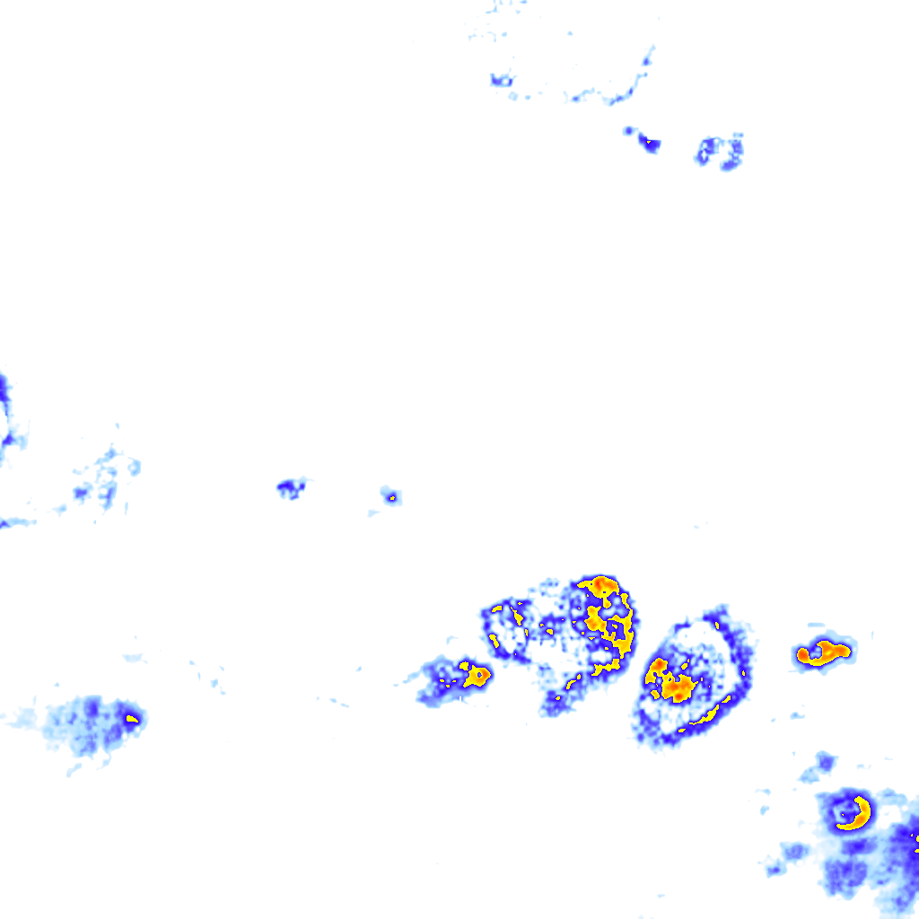 rainLayer