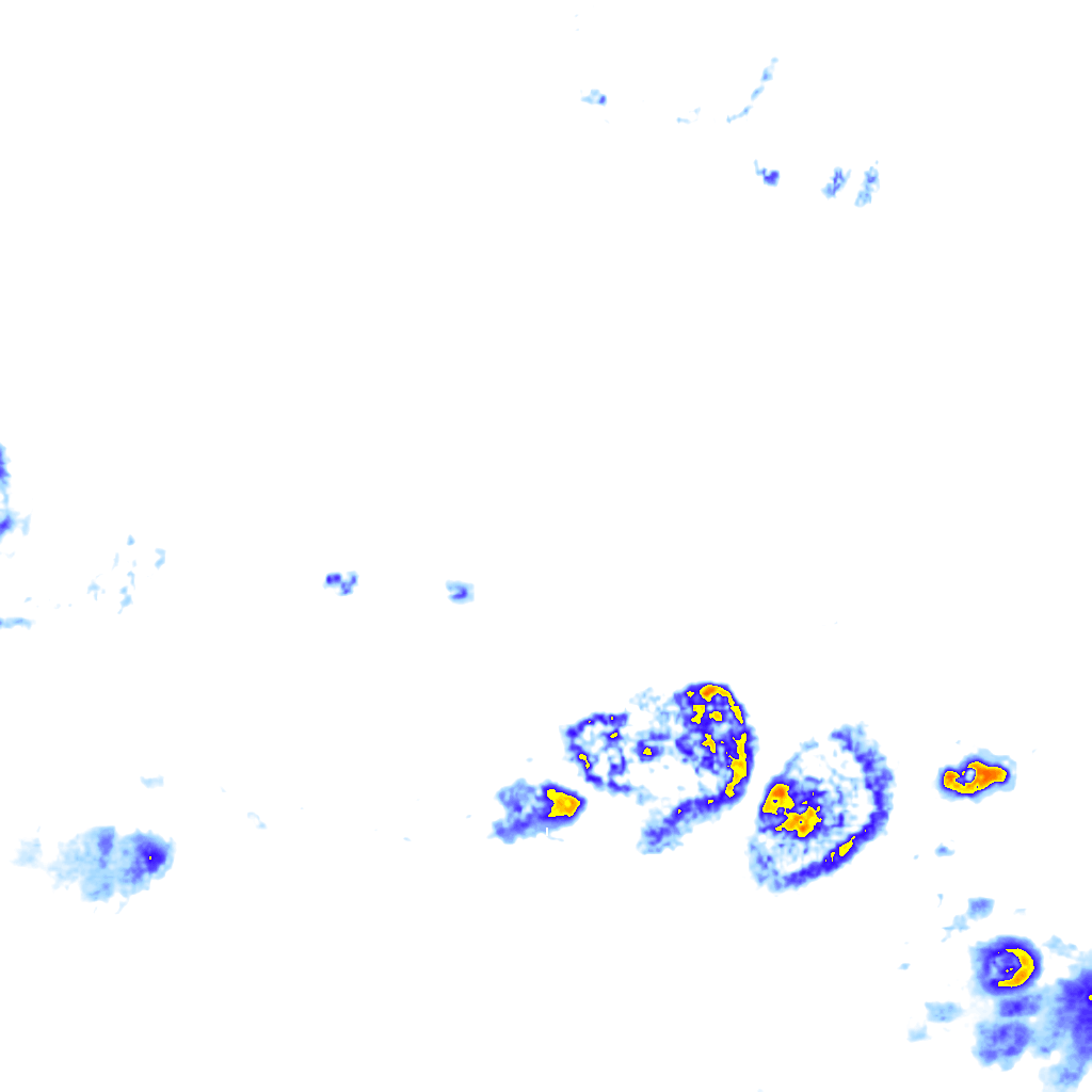rainLayer