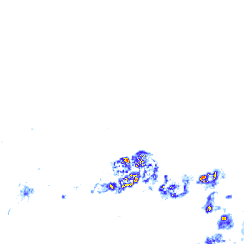 rainLayer