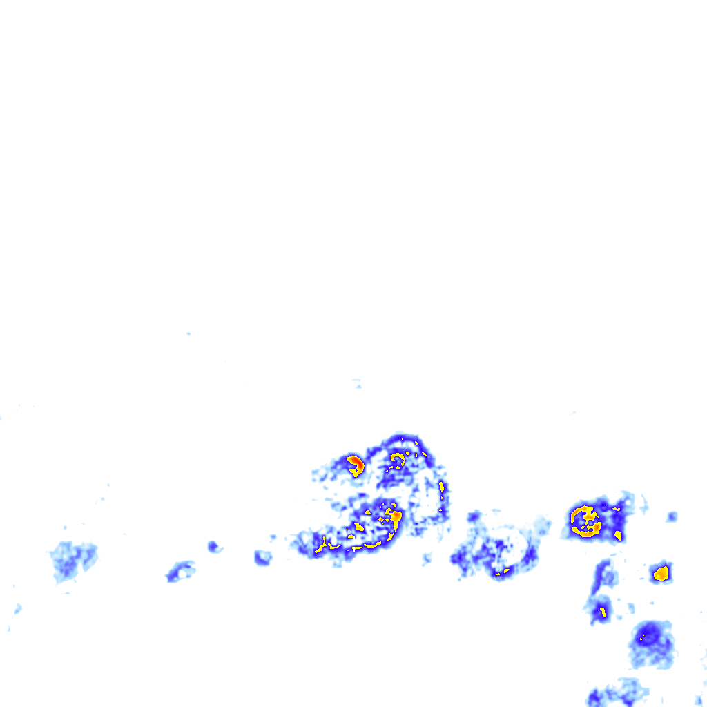 Image Layer