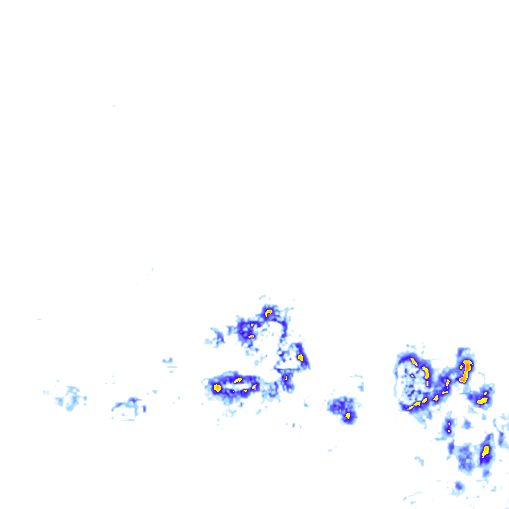 rainLayer