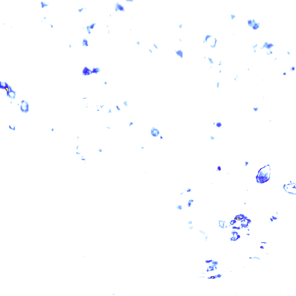 rainLayer