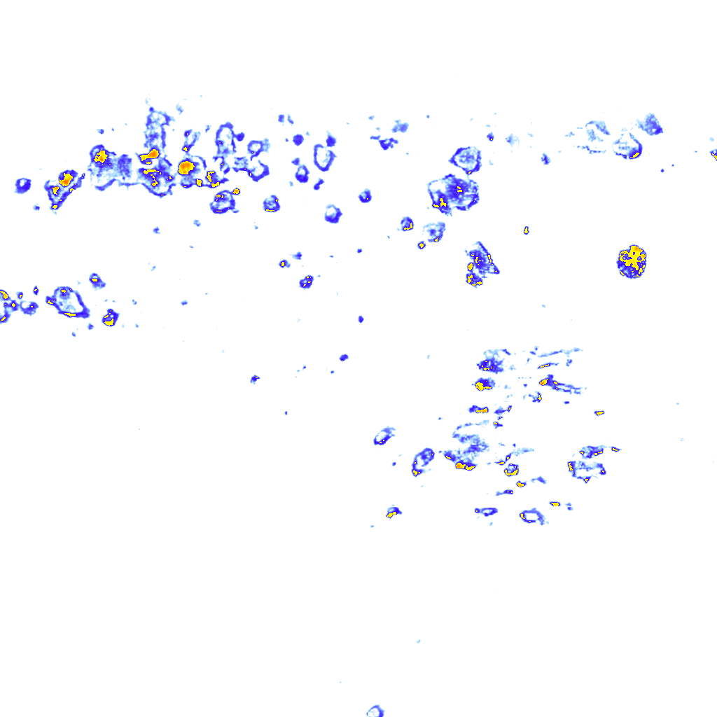 Image Layer