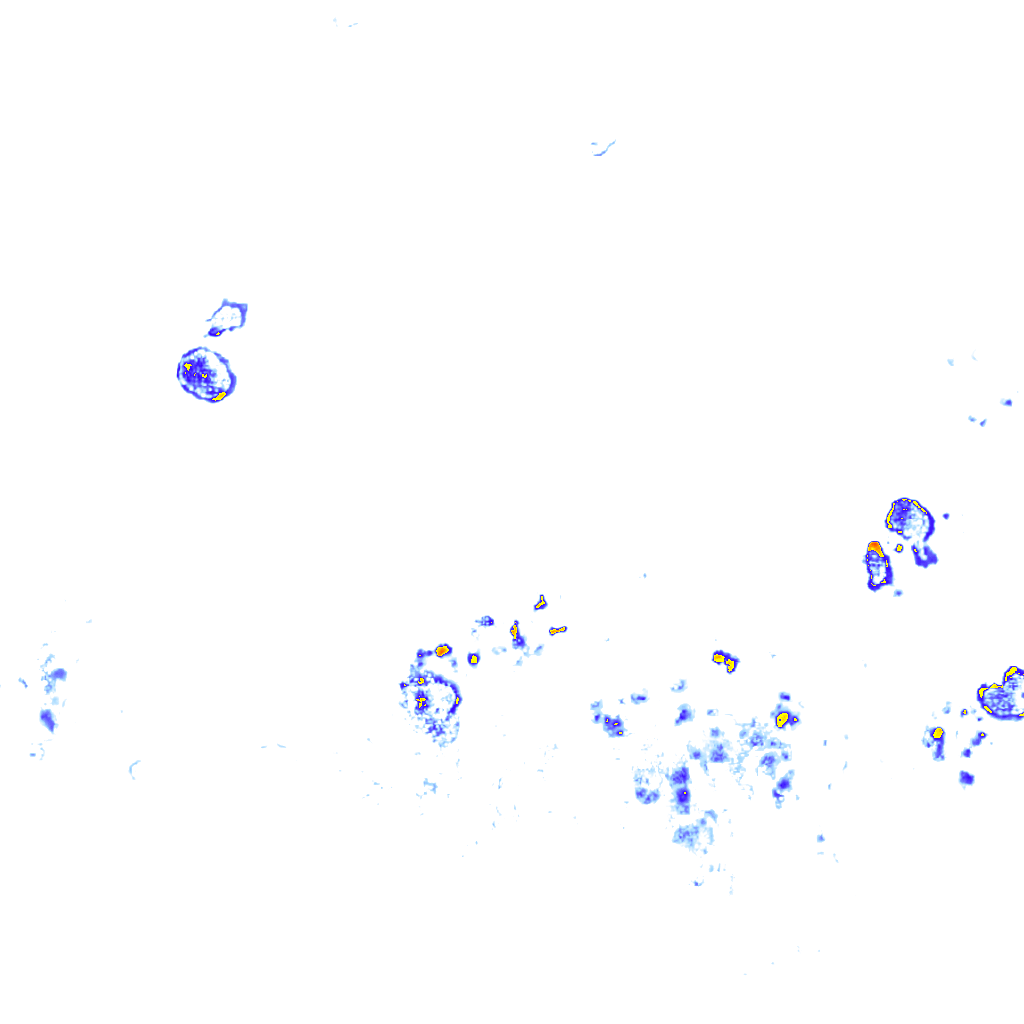 Image Layer