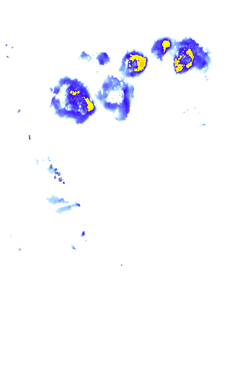 rainLayer