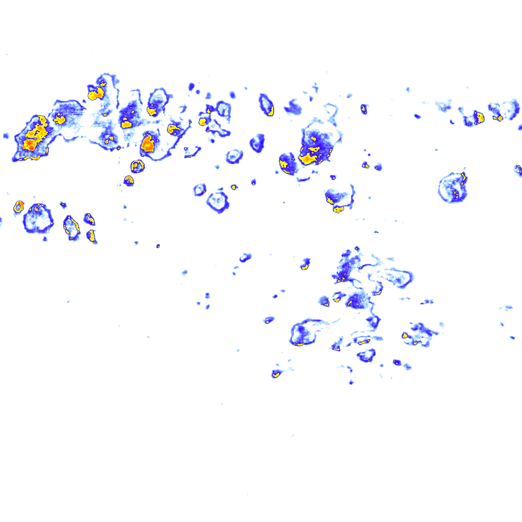 Image Layer