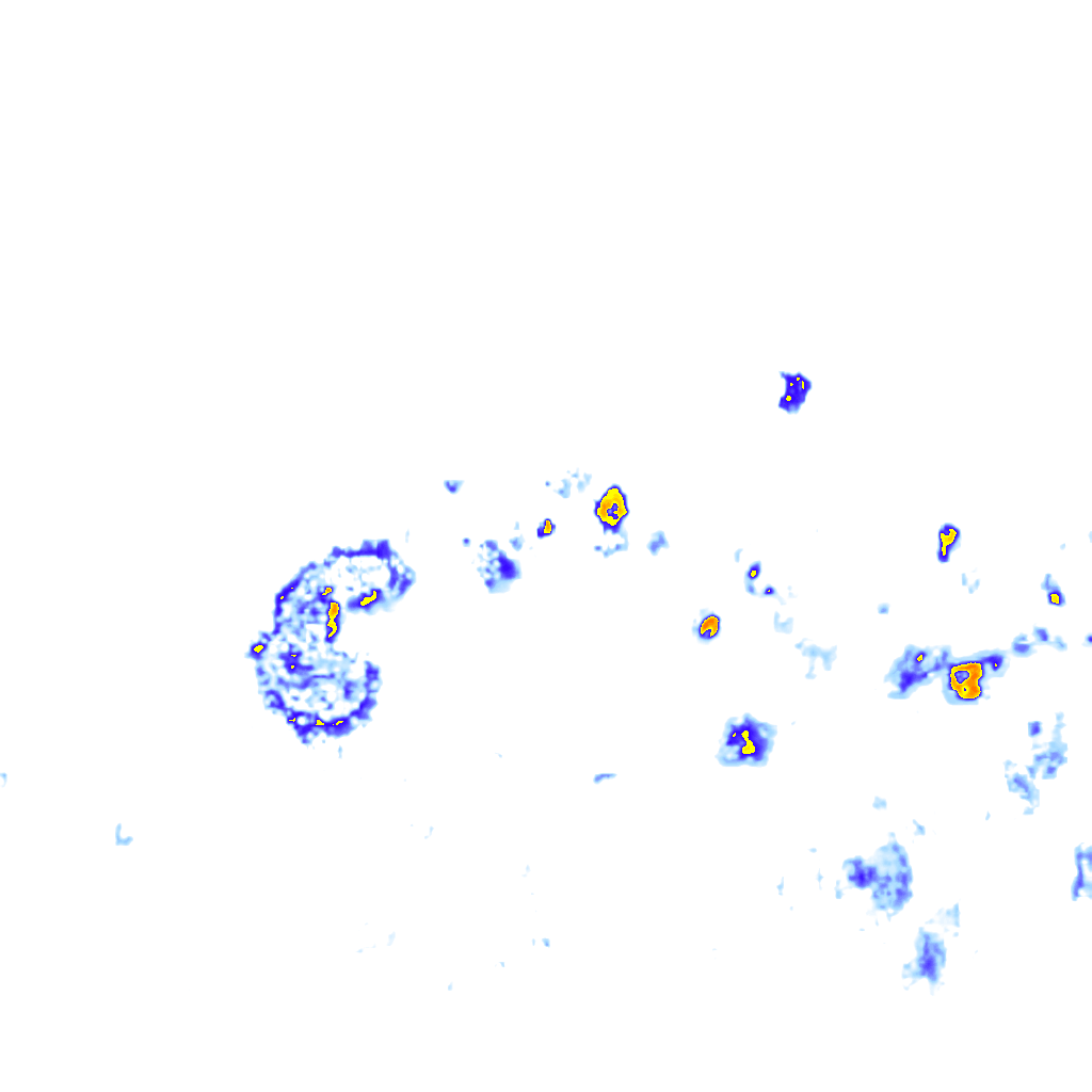 rainLayer