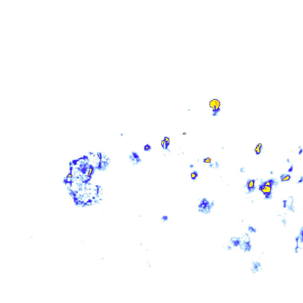 rainLayer