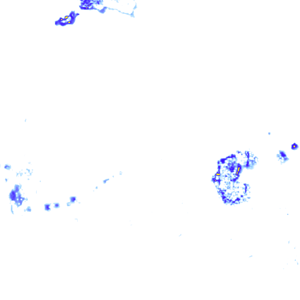 rainLayer