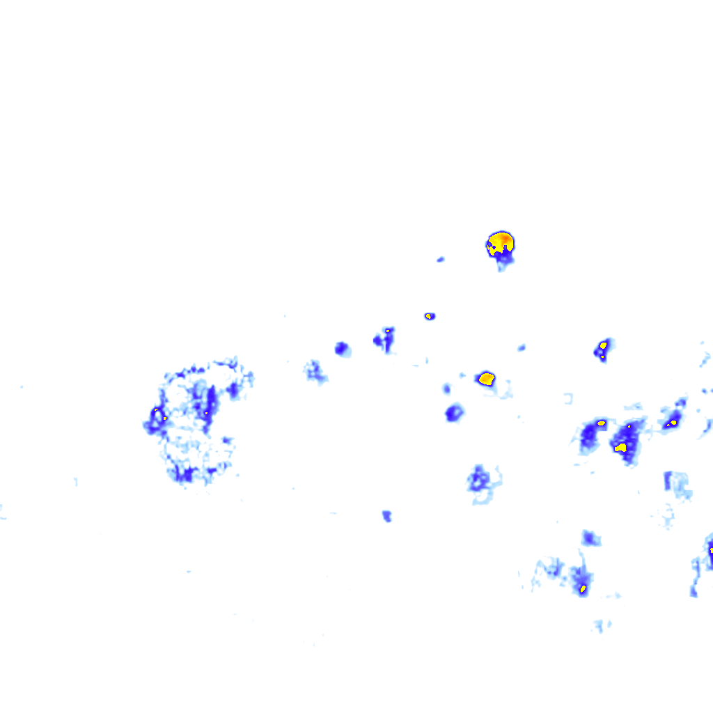 rainLayer