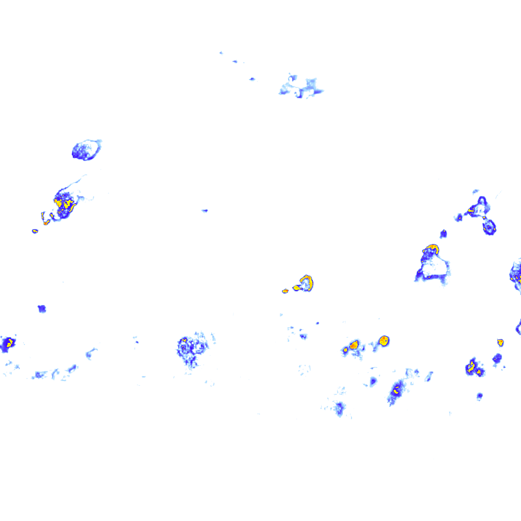 Image Layer
