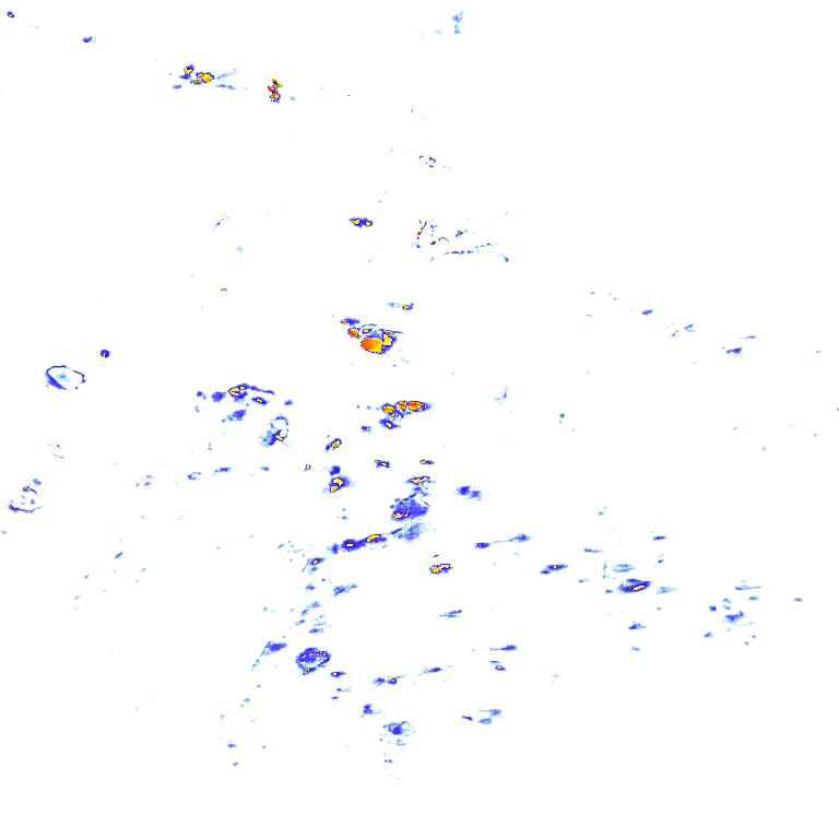 rainLayer