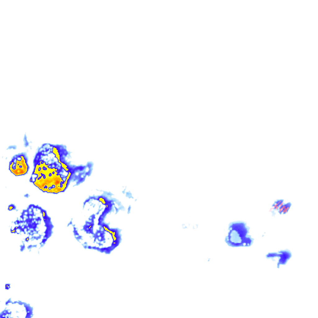 rainLayer