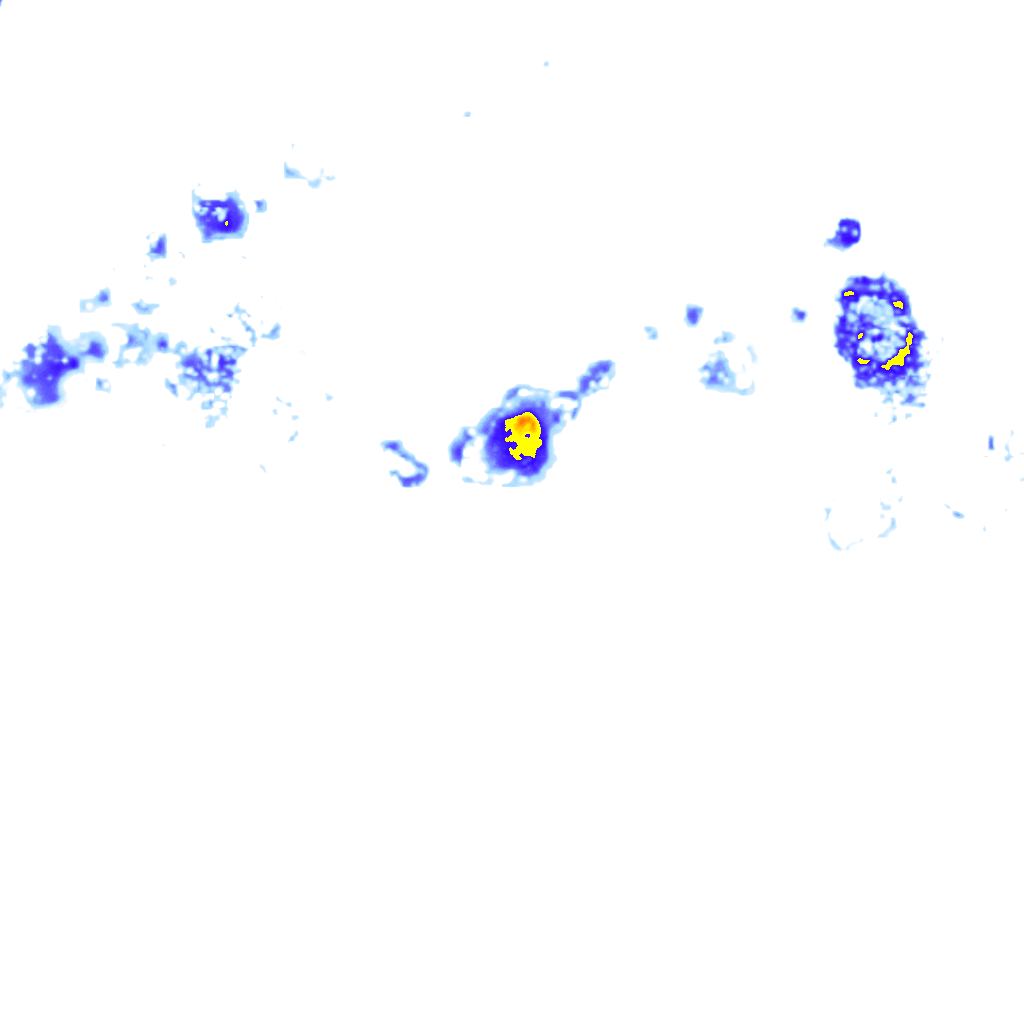 Image Layer
