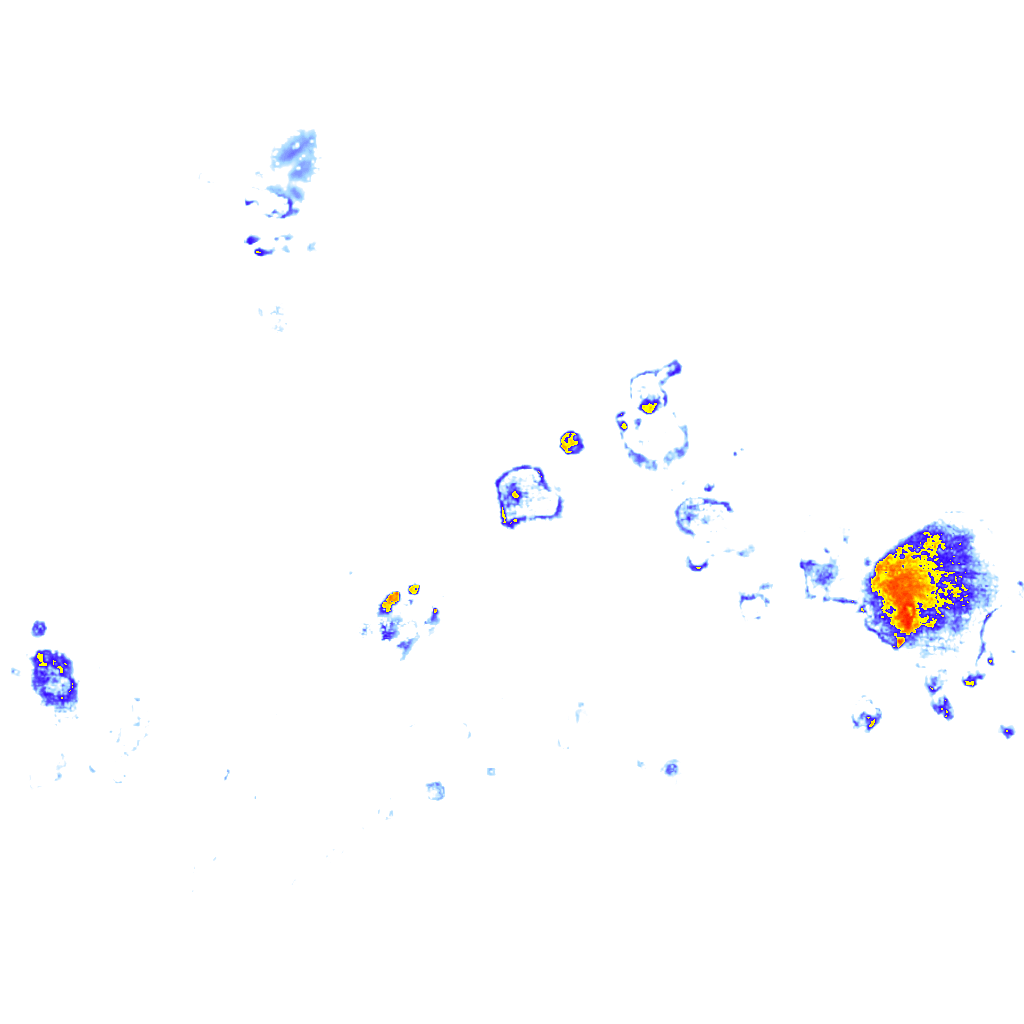 Image Layer