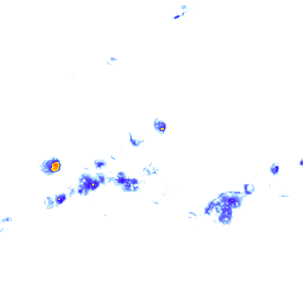 rainLayer
