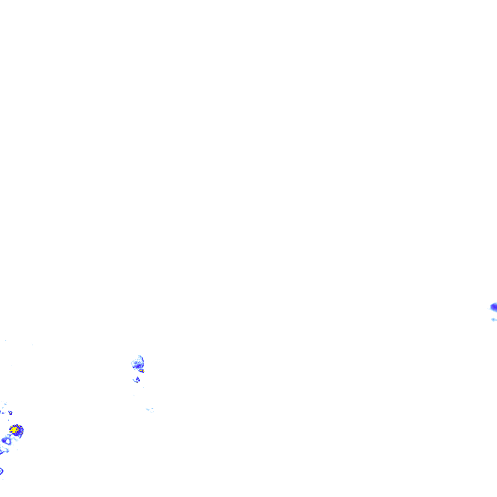 rainLayer