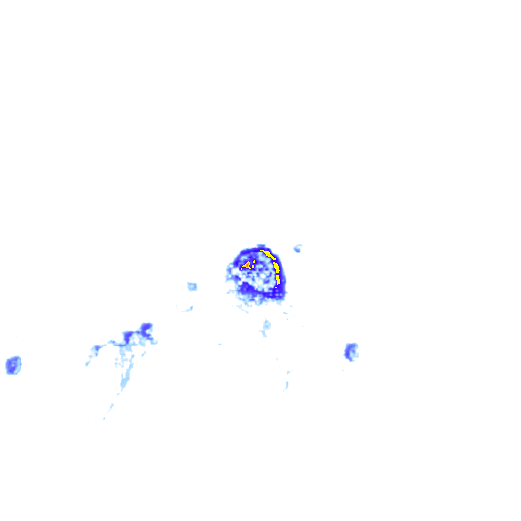 Image Layer