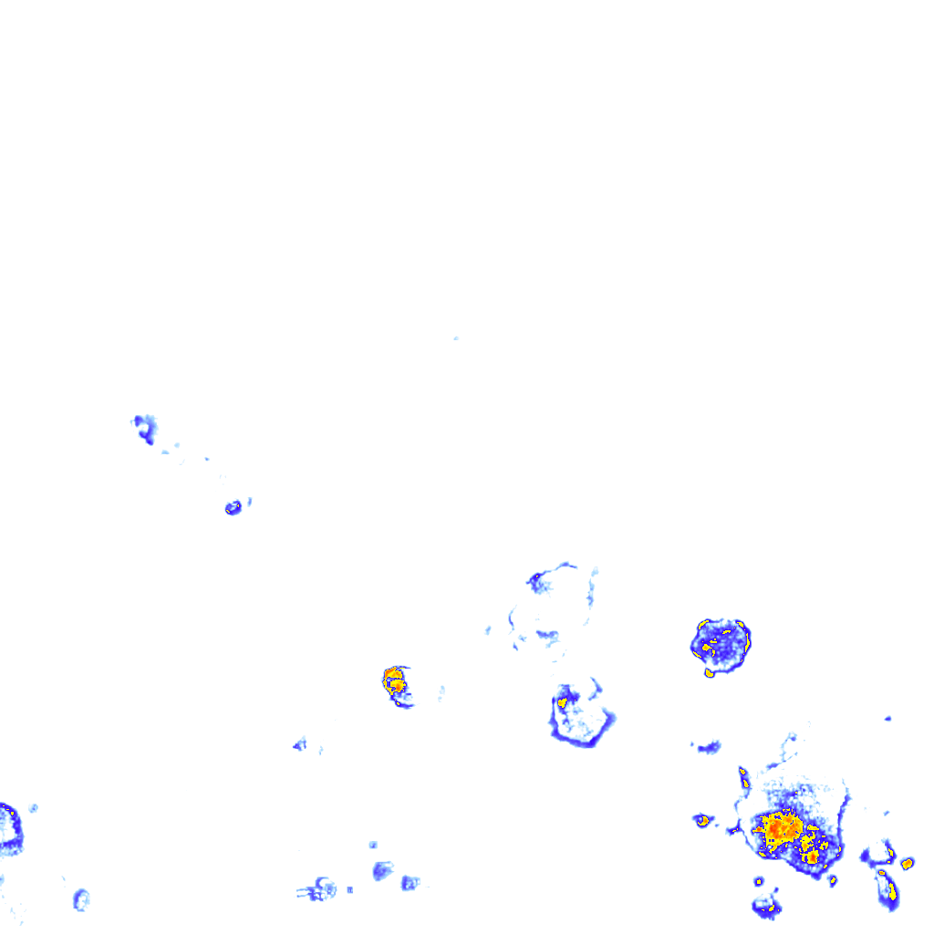 rainLayer