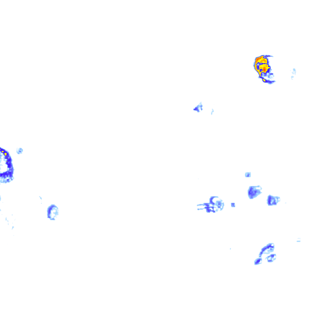 Image Layer